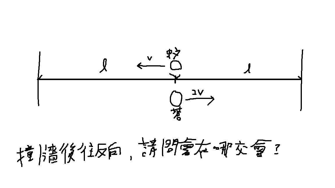 蒼蠅蚊子